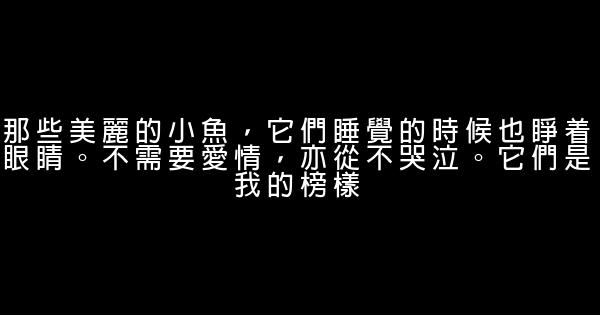 安妮寶貝經典語句 0 (0)