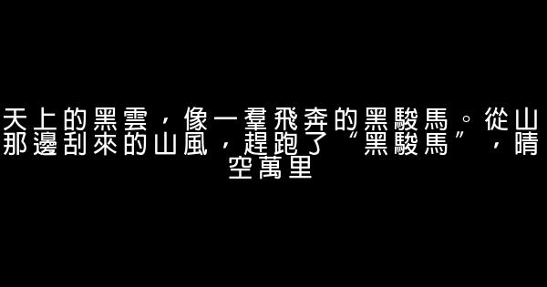 《笑貓日記》經典語錄 0 (0)
