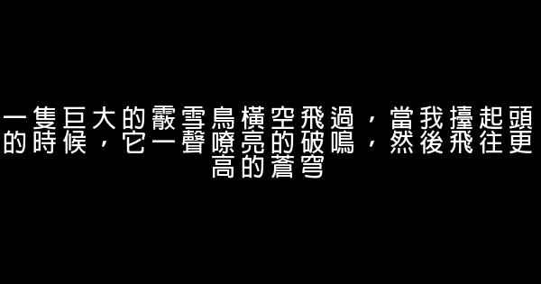 郭敬明經典語錄 0 (0)