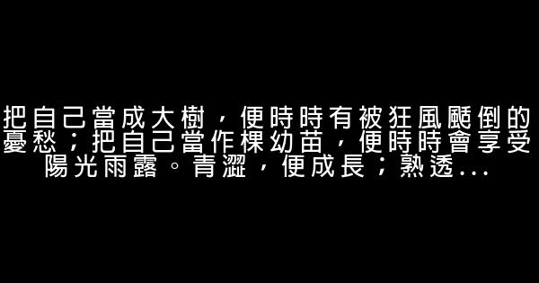 经典语录：执着于理想，纯粹于当下 0 (0)