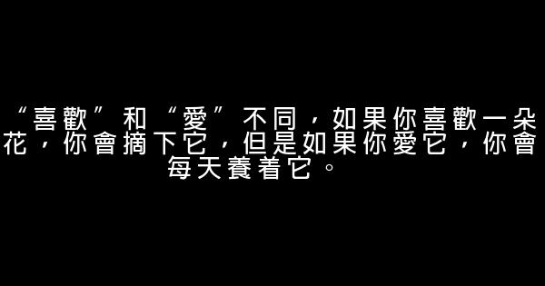 经典语录：这个世界上最短的咒语是你的名字 0 (0)