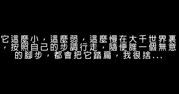 宋思明语录 0 (0)