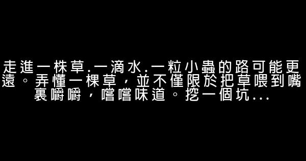 刘亮程经典语录 0 (0)