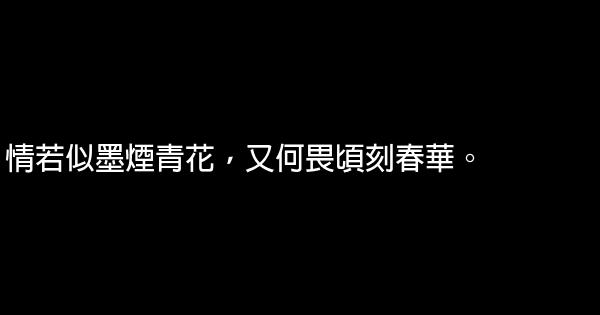 天籁纸鸢经典语录语句 0 (0)