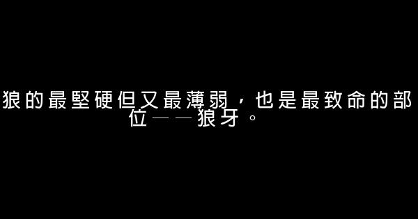 狼图腾经典语录 0 (0)