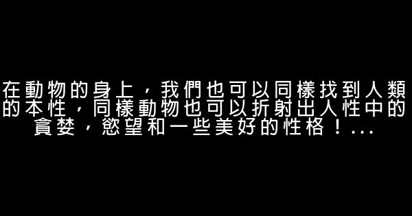 沈石溪经典语录 0 (0)
