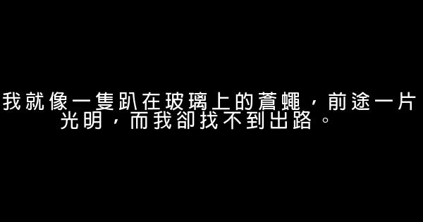 一句話經典搞笑語錄 0 (0)
