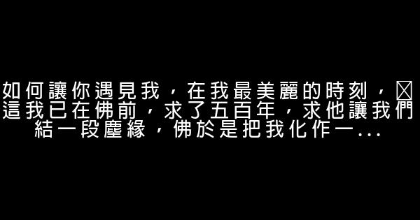 海派甜心經典臺詞 0 (0)
