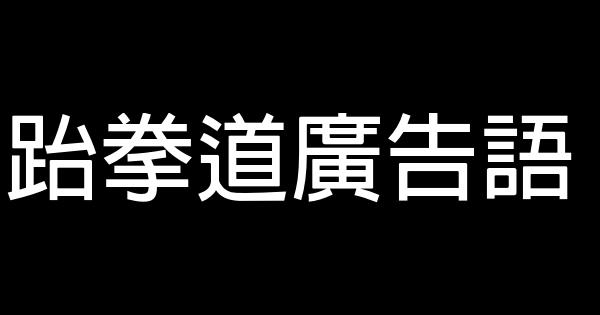 跆拳道廣告語 0 (0)