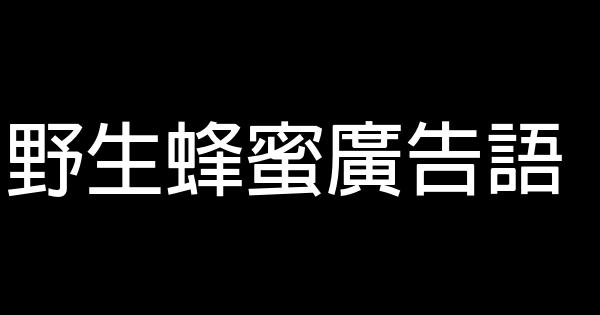 野生蜂蜜廣告語 0 (0)