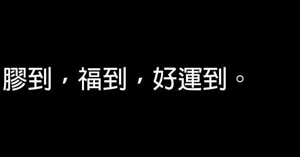 東阿阿膠廣告詞 0 (0)
