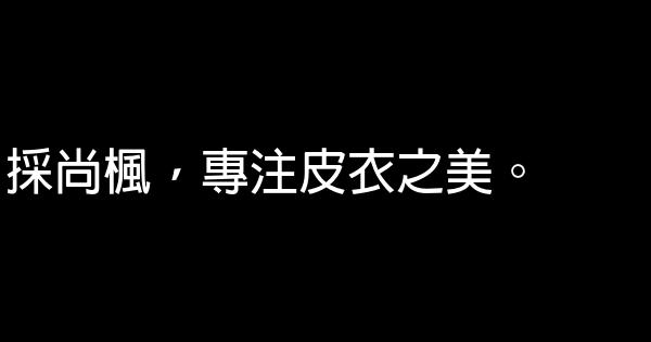 皮衣廣告語 0 (0)