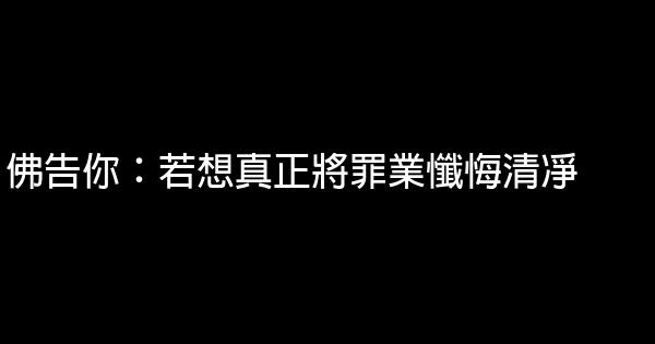 佛告你：若想真正將罪業懺悔清凈 0 (0)