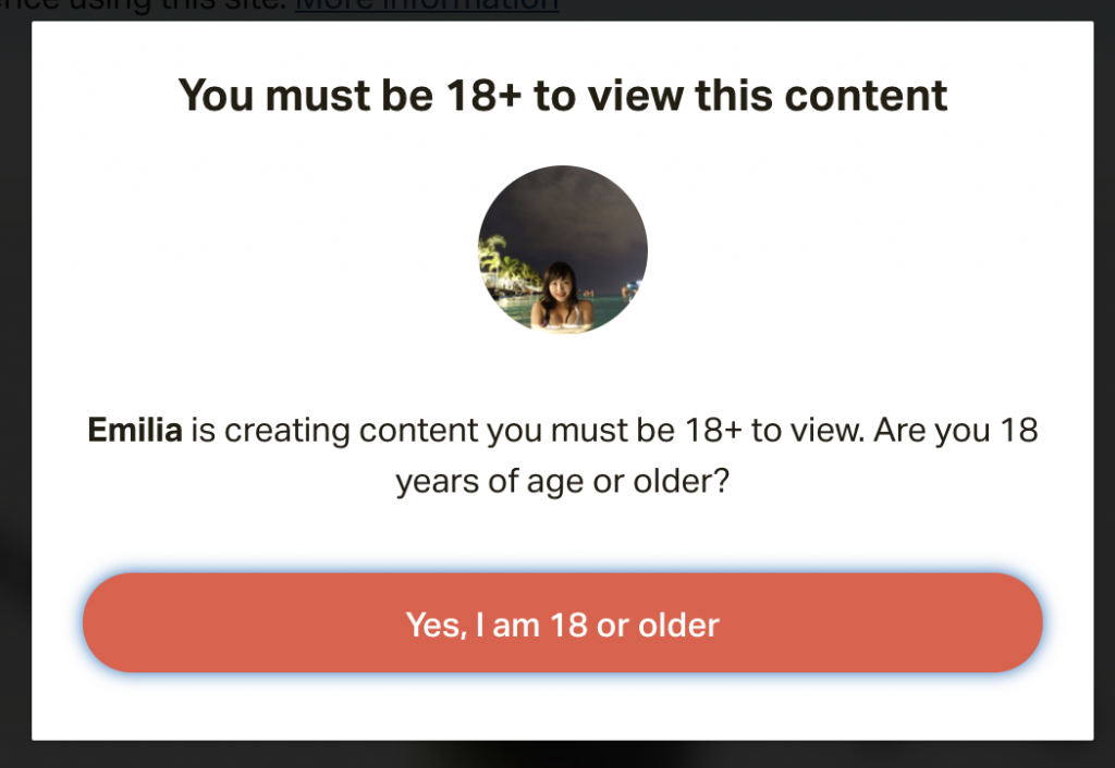 網路賺錢 - Emilia Wong 3