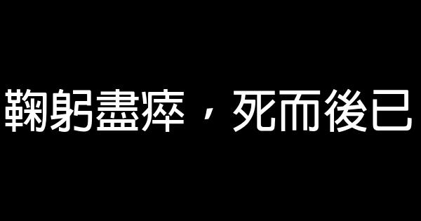 鞠躬盡瘁，死而後已 0 (0)