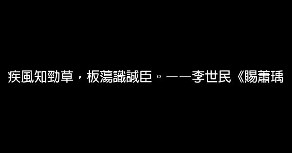 傳統文化勵志名言佳句 假笑貓故事