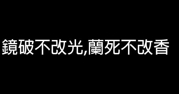 鏡破不改光,蘭死不改香 0 (0)