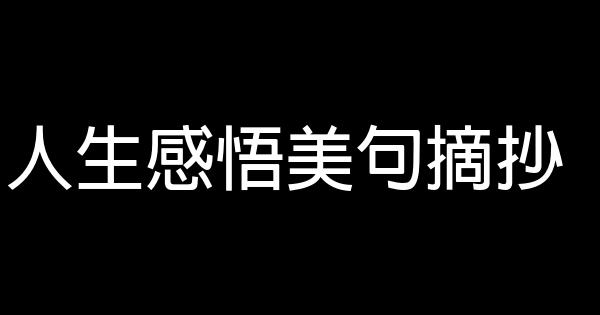 人生感悟美句摘抄 0 (0)