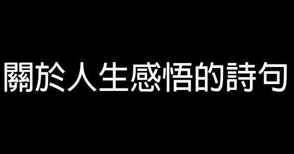關於人生感悟的詩句 0 (0)