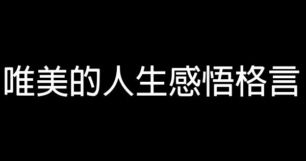 唯美的人生感悟格言 0 (0)