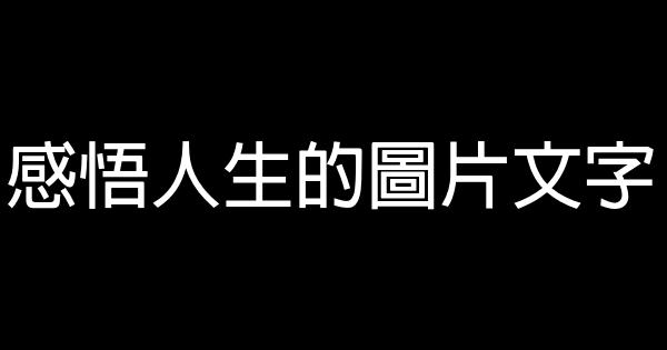 感悟人生的圖片文字 0 (0)