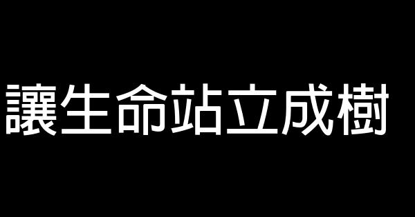 讓生命站立成樹 0 (0)