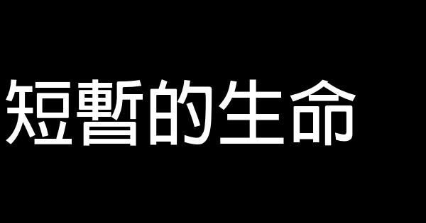 短暫的生命 0 (0)
