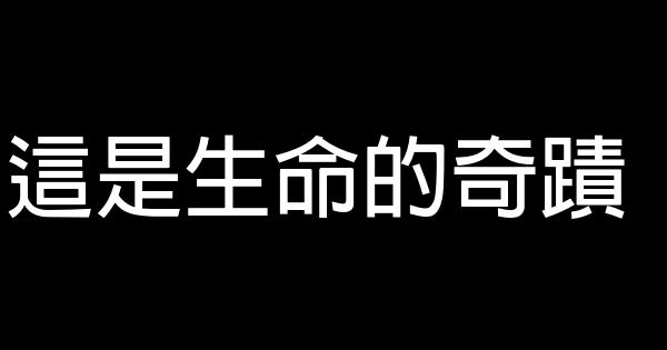 這是生命的奇蹟 0 (0)