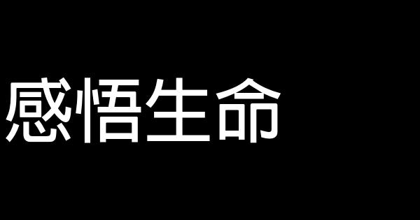 感悟生命 0 (0)