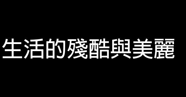 生活的残酷与美丽 1