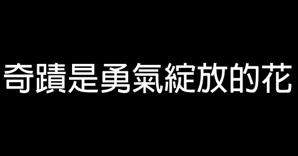 奇蹟是勇气绽放的花 0 (0)
