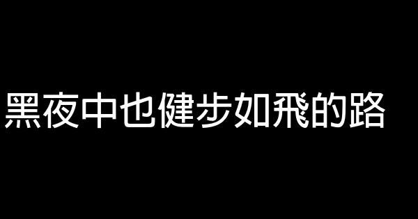 黑夜中也健步如飞的路 0 (0)