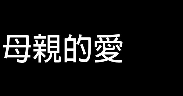 母親的愛 0 (0)