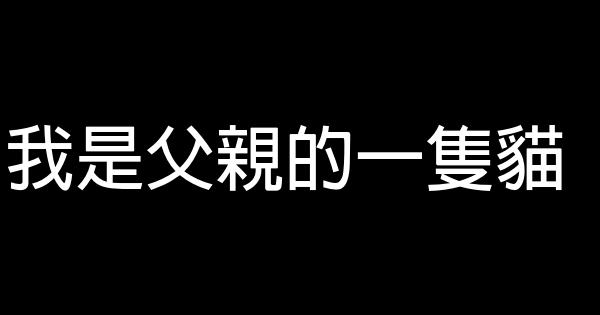 我是父親的一隻貓 0 (0)