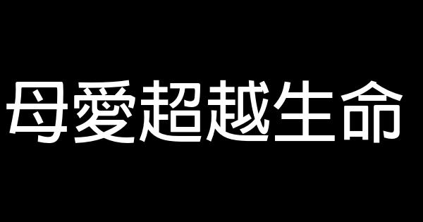 母愛超越生命 0 (0)