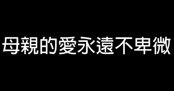 母親的愛永遠不卑微 0 (0)