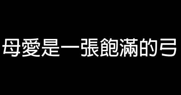 母爱是一张饱满的弓 1