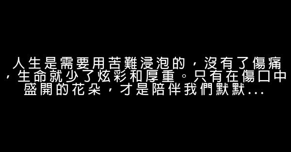 勵志激勵句子賞析 0 (0)