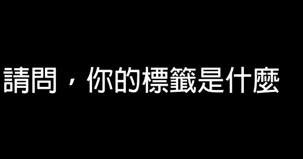 请问，你的标签是什么 0 (0)