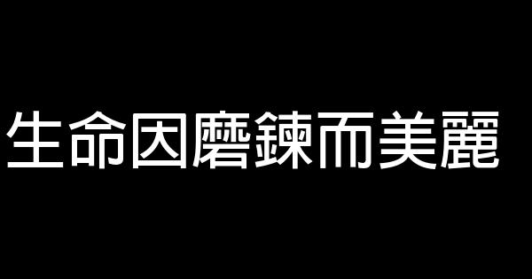 生命因磨炼而美丽 0 (0)