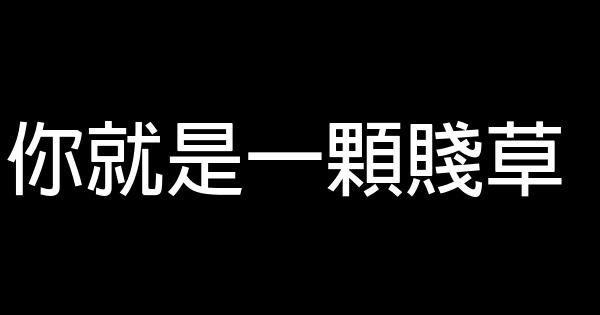 你就是一颗贱草 0 (0)