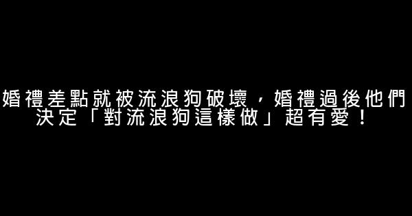 婚禮差點就被流浪狗破壞，婚禮過後他們決定「對流浪狗這樣做」超有愛！ 0 (0)